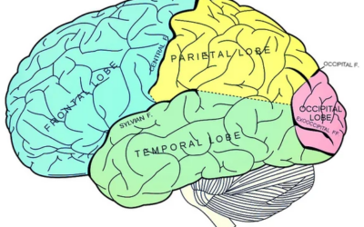 You use these areas of your brain every time you’re in pain